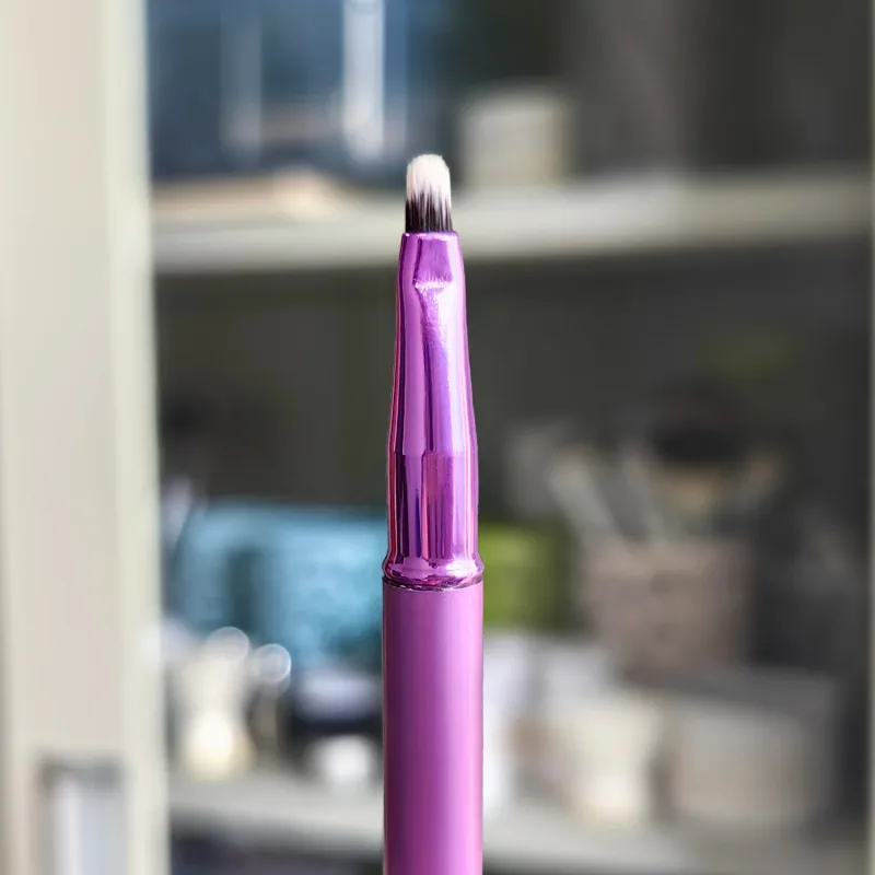 Eyes Makeup Brushes with Cover Eyeshadow Eyeliner Lip Gloss Make Up Brush