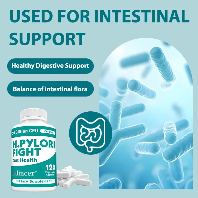 Probiotics - Lactobacillus reuteri support intestinal balance digestive system oral health and enhance the immune system