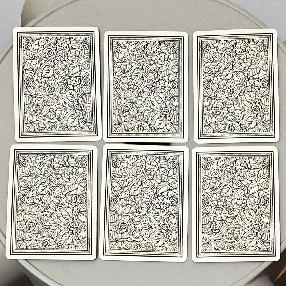RWS Playing Card Deck: 78-Card Poker Deck Illustrated with RWS Images Combines Tarot and Playing Cards 9*6cm Double-embossed — image 4