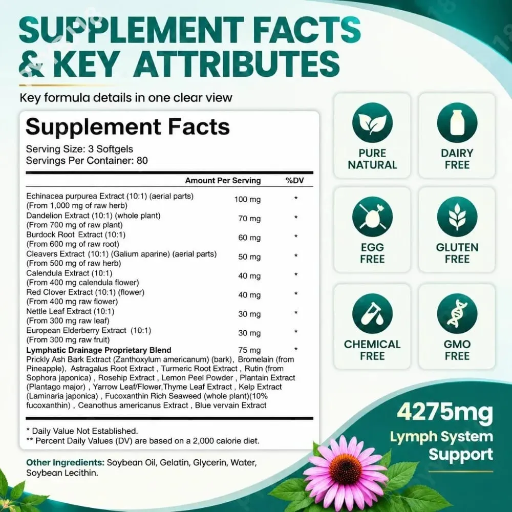 Softgels de suporte linfático com suplemento de ervas de dente de leão de equinácea Fórmula botânica 21 em 1 para sistema de fluxo linfático 240 contagens