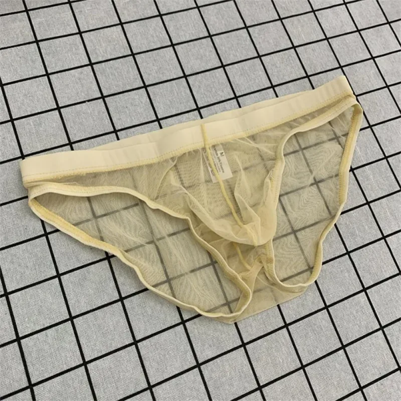 Ultra-thin Sexy Mesh Fully Transparent Men Briefs Panties See Through Underwear Quick Dry Male Underpants Plus Size