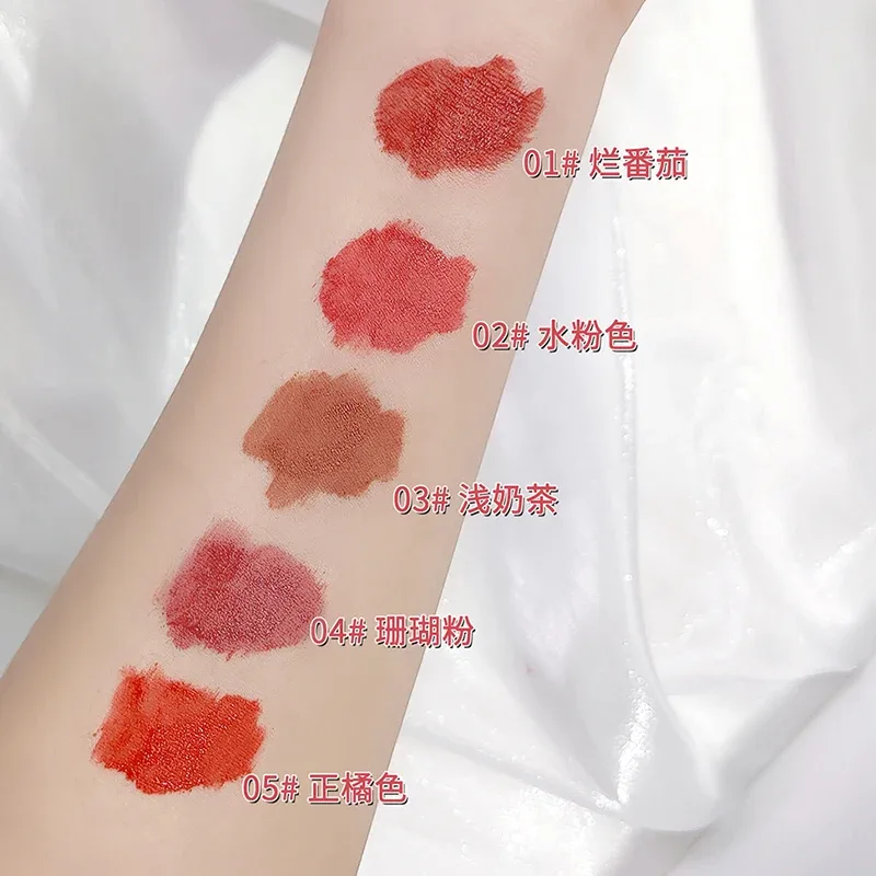 5 cores conjuntos de maquiagem lipgloss batom líquido à prova dwaterproof água fosco duradouro veludo lama labial sexy vermelho moda mancha labial cosméticos