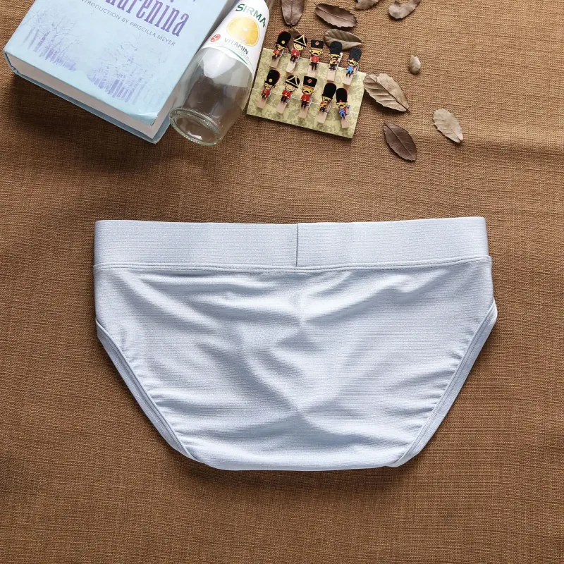2025Simples, cor sólida, elegante, cuecas masculinas de cintura baixa em nylon escovado brilhantes AD3-M257