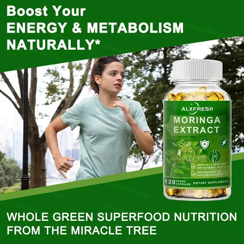 Cápsulas de Moringa apoiam os níveis de energia Sistema imunológico e saúde digestiva Mantêm a saúde dos ossos e dentes Poderoso antioxidante