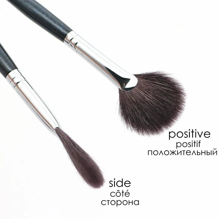 Fan Highlighter Brushes Maquiagem Top Cabra Cabelo Liquidificador de alta qualidade Make Up Brush