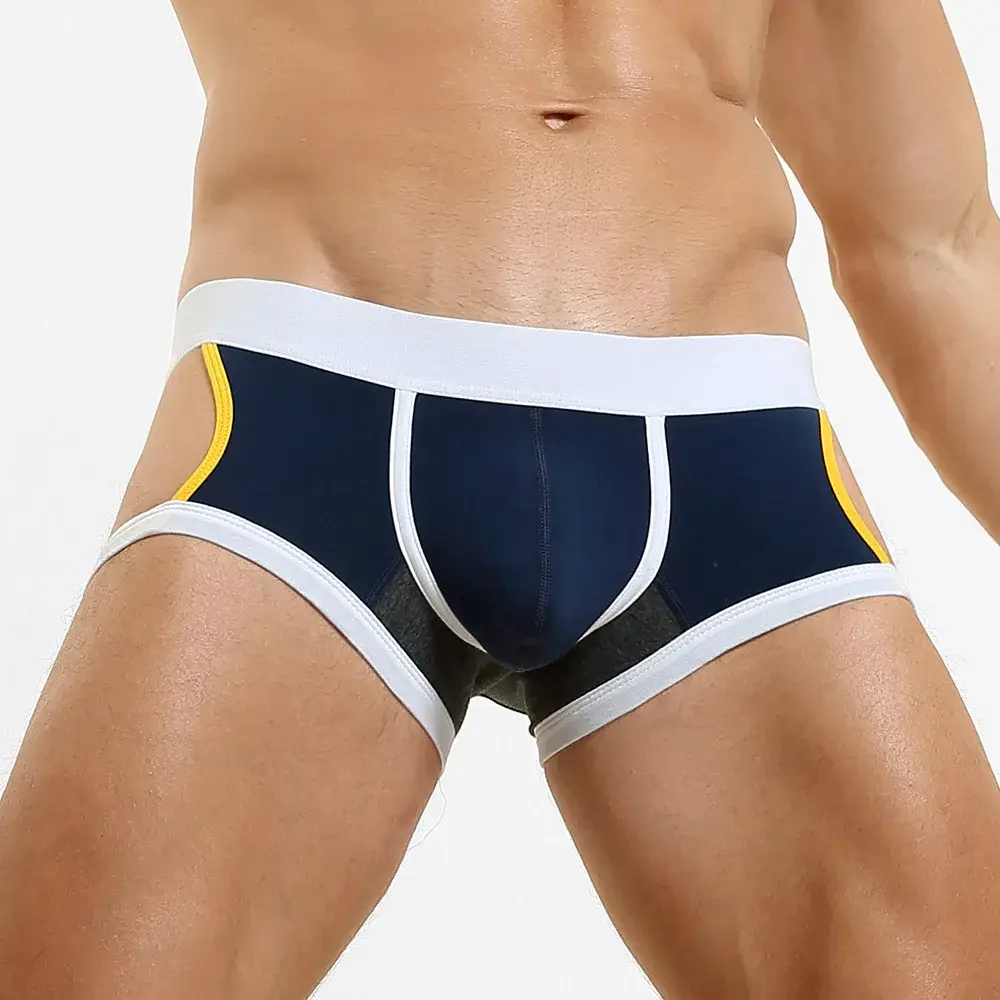Men's Low-Waist U-Shape Flat Briefs Underwear Trendy Side-Light Design Comfortable Innerwear for Men