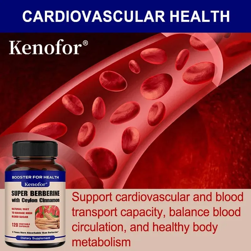 O antioxidante do extrato de canela do Ceilão melhora a circulação sanguínea, apoia a saúde cardiovascular, equilibra o açúcar no sangue