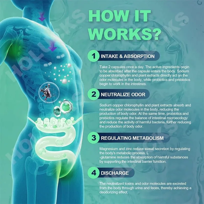 Cápsulas de clorofila natural suplementam desintoxicação interna e desodorante corporal para promover o bem-estar digestivo e da pele — image 3