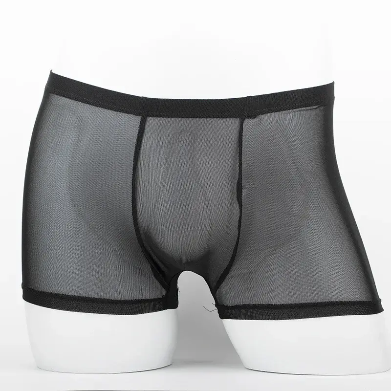 Men's Underwear Transparent Boxers Bulge Ice Silk See Through Underpants Sexy Briefs Low Waist Panties Lingerie Intimates 3256808377911341