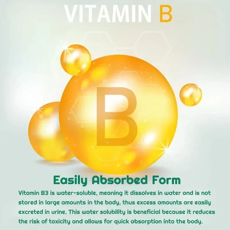 菸鹼醯胺維生素 B3 膠囊 - 支持大腦功能和心臟健康，促進能量產生並增強免疫力