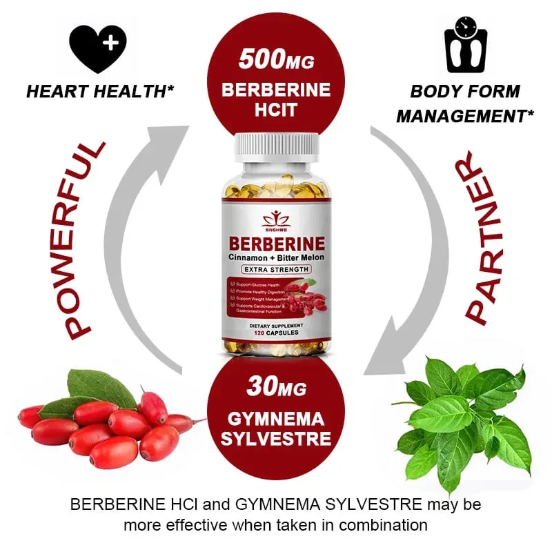 Suplemento de Berberina de Alta Potência com Canela do Ceilão - Sistema Imunológico Função Cardiovascular e Gastrointestinal - Berberine H
