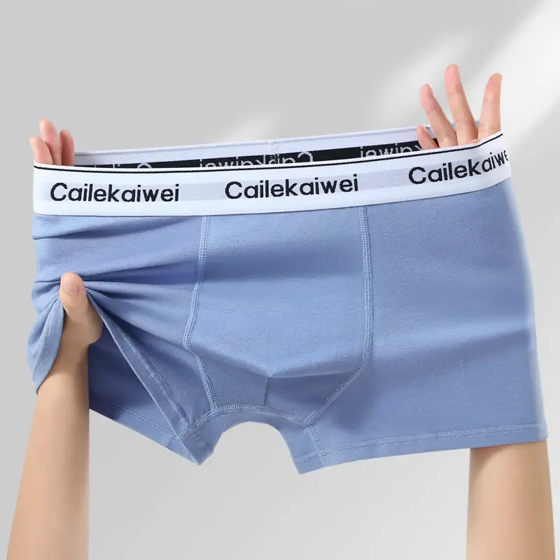 5 pçs boxer shorts roupa interior masculina sexy calcinha de algodão puro sólida elasticidade homem cuecas boxers masculinos homme u lingerie convexa — image 13