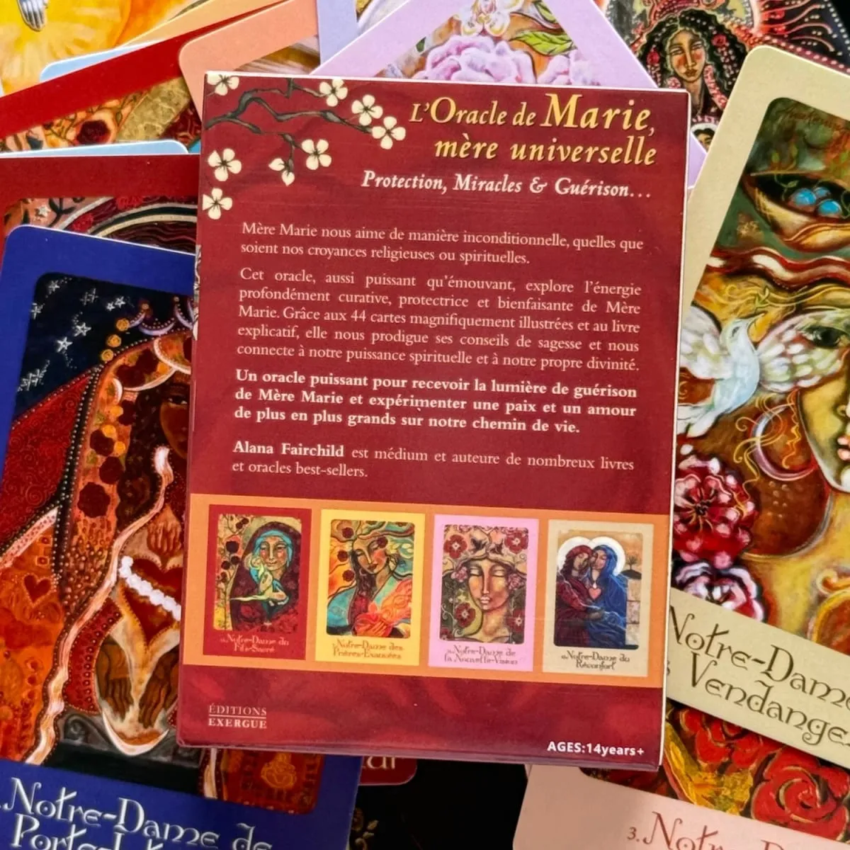 L'Oracle De Marie Mère Universelle Versão Francesa Milagres de Proteção e Guérison Oracle Deck 44 Jogos de Tabuleiro