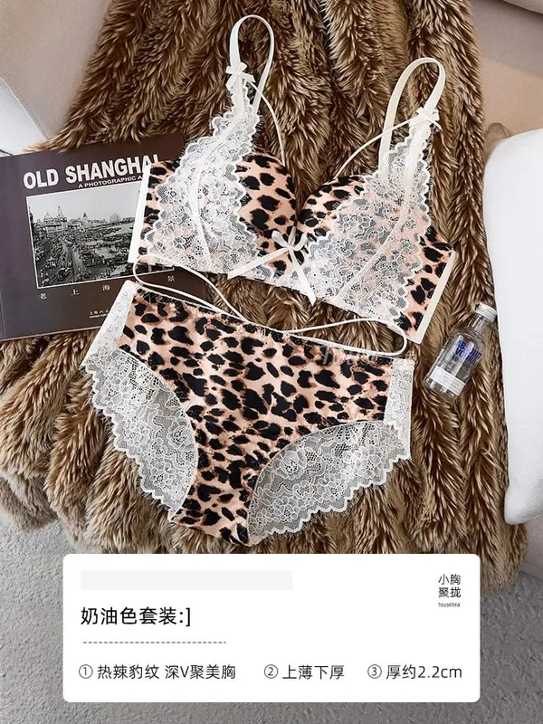 Conjunto de lingerie feminina leopardo renda 32-38ab sem fio push up sutiã lateral suporte de peito anti-sag sexy puro desejo roupa interior — image 11