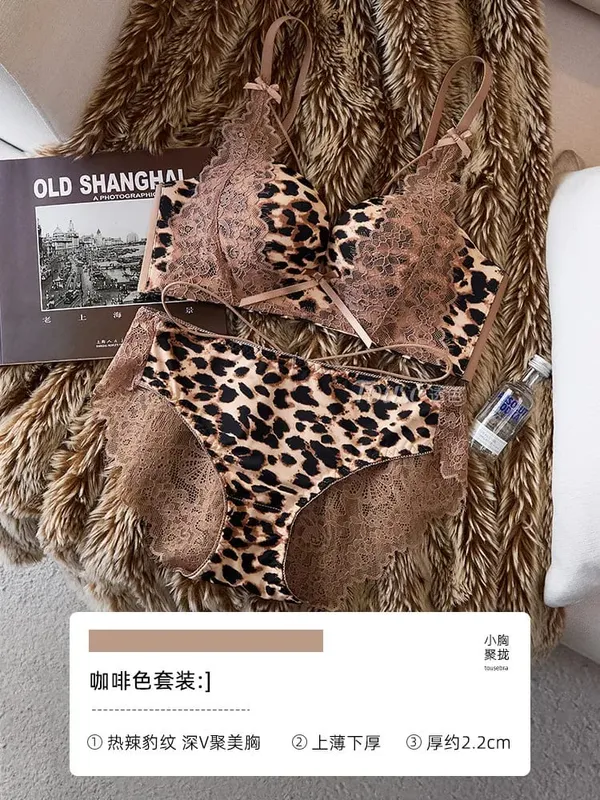 Conjunto de lingerie feminina leopardo renda 32-38ab sem fio push up sutiã lateral suporte de peito anti-sag sexy puro desejo roupa interior — image 10