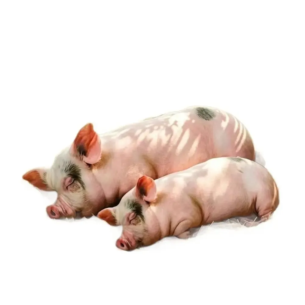 Plush Material Animal Body Pillow 40cm Size Soft Texture Animal Cushion Doll Toys PP Cotton Filled Cute Design