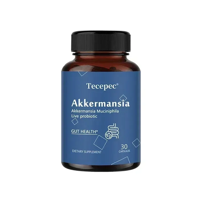Akkermansia Muciniphila Cápsulas Probióticas Ativas Apoiam a Digestão Saúde Intestinal Promovem o Equilíbrio da Flora Intestinal