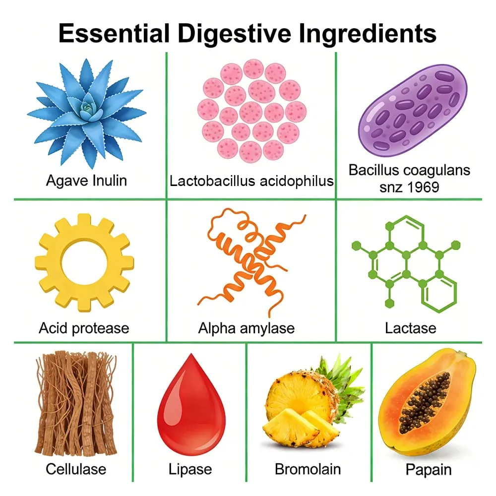 Cápsulas probióticas, prebióticos e enzimas digestivas, limpeza e desintoxicação do cólon, apoiam a saúde intestinal, digestão e equilíbrio de bactérias intestinais