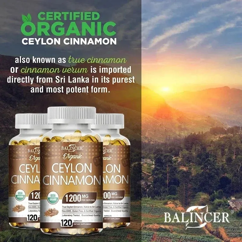 Suplemento Orgânico de Canela do Ceilão - Antioxidante Sistema Imunológico Saúde Cardiovascular e Gastrointestinal Não OGM Sem Glúten