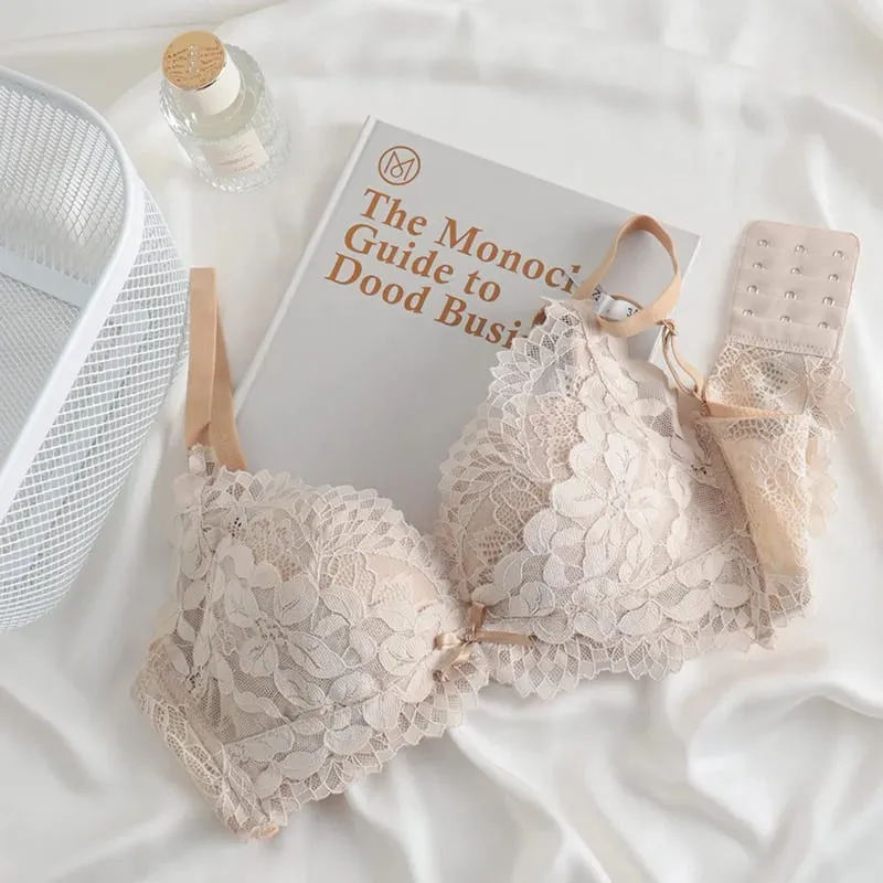 Japanese Inspired Push Up Bra Set for Small Bust Women | Side Smoothing Anti-Sagging Adjustable No Gap Luxury MOYISU Panty & Set