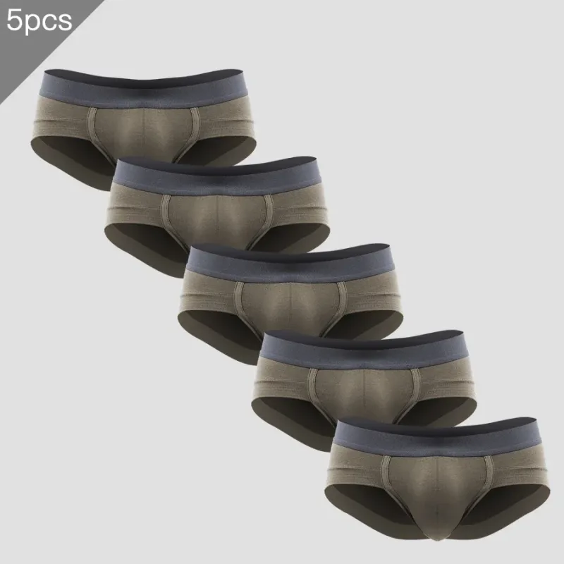 5PCSMen's cuecas de três peças com bolsa em forma de U, tecido modal, respirável, calças inferiores de cintura baixa para jovens de verão