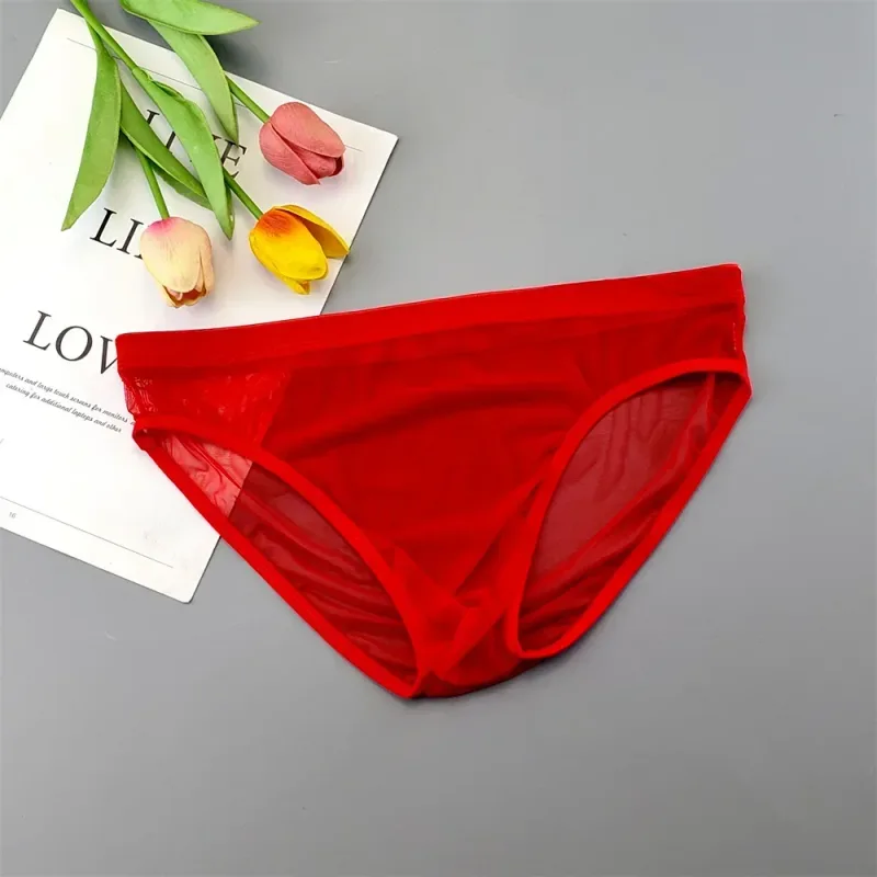 Plus Size Transparent Underwear See Through Sexy Briefs for Men with Pouch Nylon Hombre Slips Breathable Male Panties XL-4XL