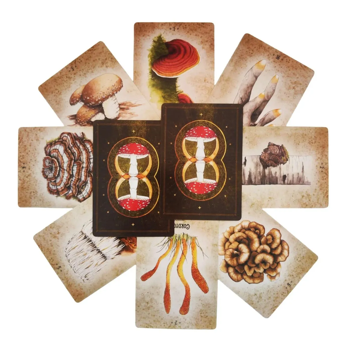 Mushroom Spirit Oracle Cards Board Games