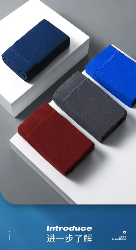 Roupa íntima masculina, cuecas masculinas, cuecas modais finas de verão, charme sexual, shorts respiráveis de cintura baixa masculina de tamanho grande — image 15