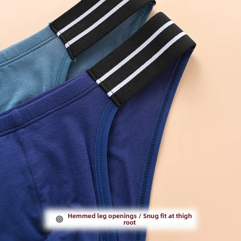 Cuecas lingerie masculina triângulo calcinha listra respirável homens cuecas finas cintura média tamanho grande roupa interior para presentes masculinos