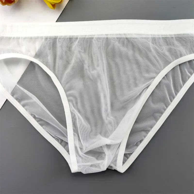 Plus Size Transparent Underwear See Through Sexy Briefs for Men with Pouch Nylon Hombre Slips Breathable Male Panties XL-4XL