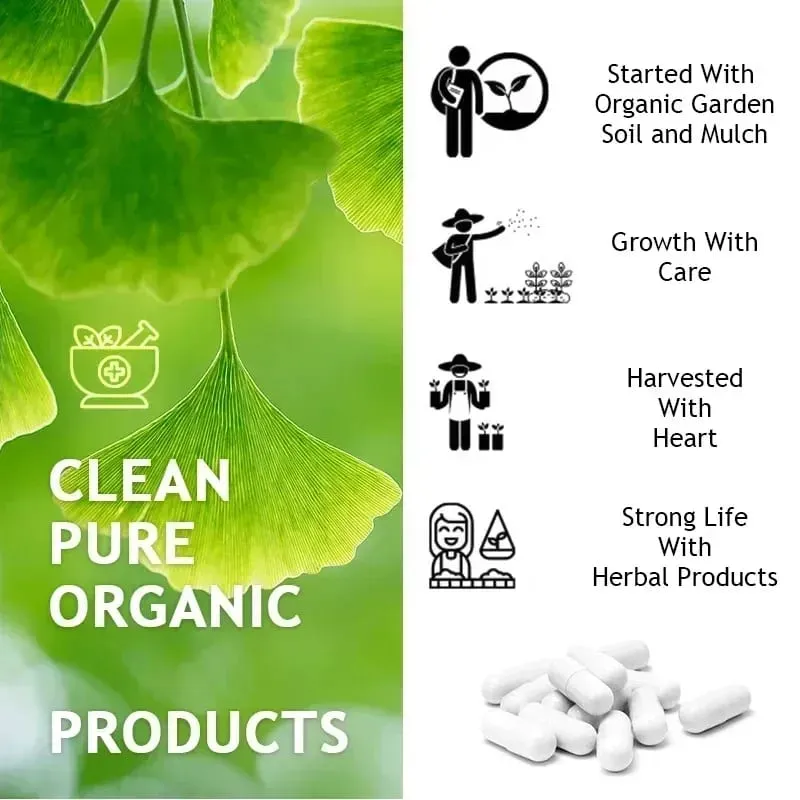 Ginkgo Biloba 5000 mg Força Extra - Suporta Função Cerebral e Foco na Memória Alívio do Estresse 120 Cápsulas Vegetais